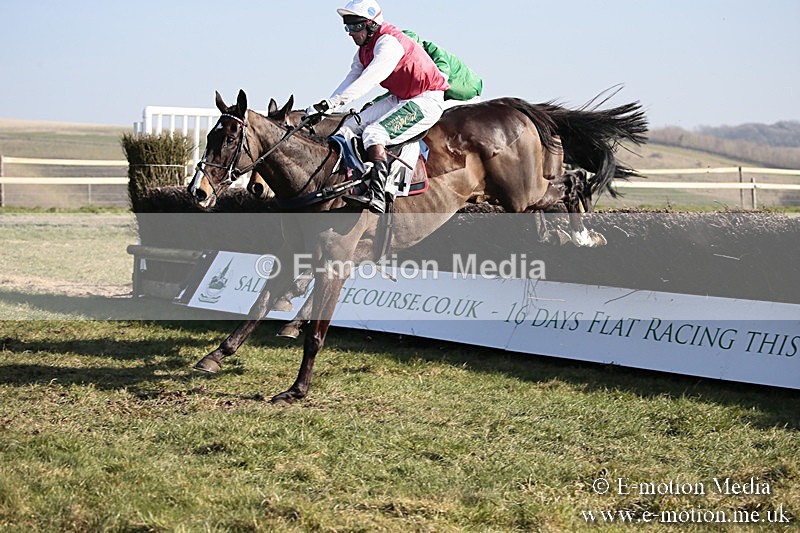 PtP 240218 263 - Vine & Craven Hunt Point-to-Point Barbury racecourse 24/02/18