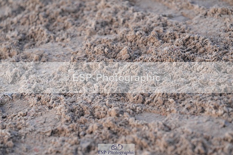 251130-143615-02337 - Cls 31 Stepping Stones
