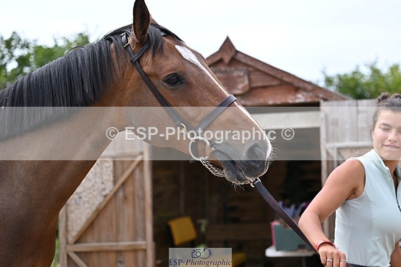 250716-131655-00424 - Trot Up 12.30 to 1.30