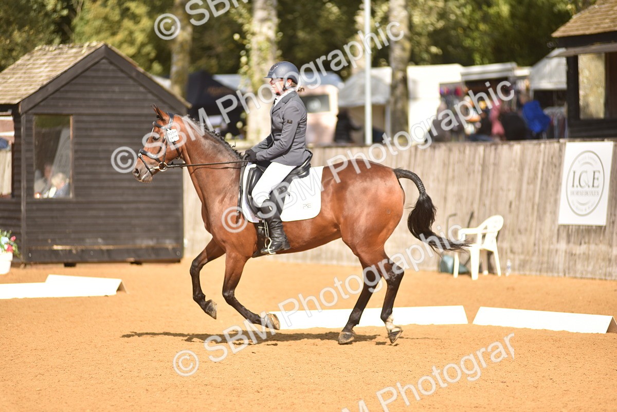 SBM_24217 - D4 - Small Tour Championship Intro 4