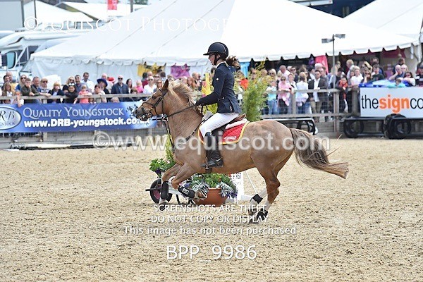 BPP_9986 - RHS 2019 Selection - *Just some random spectator shots so Lucky Dip if you are there!