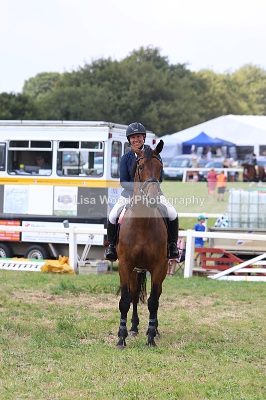 3E7A3462 - Class 10: Senior Foxhunter/1.20 open