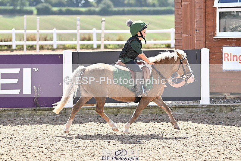 250821B-142825-00772 - Group D - Thomasina