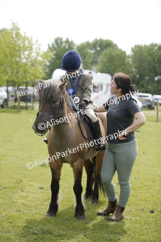 20260426-2159 - Class 9 - Handsomest Gelding