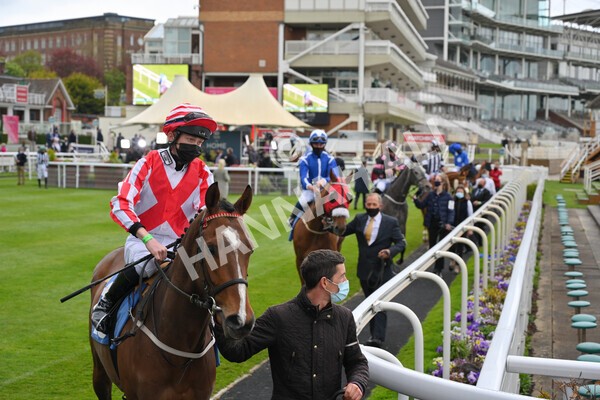 yr14052021r5-9 - Race 5 3.40pm The Jigsaw Sports Branding Handicap