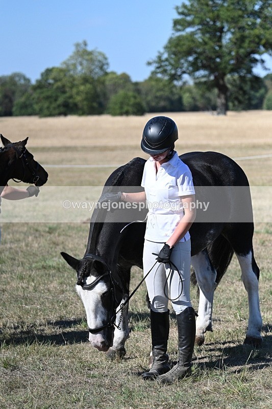 WJ7_1912 - Class 43 Best Six Legs (In hand)