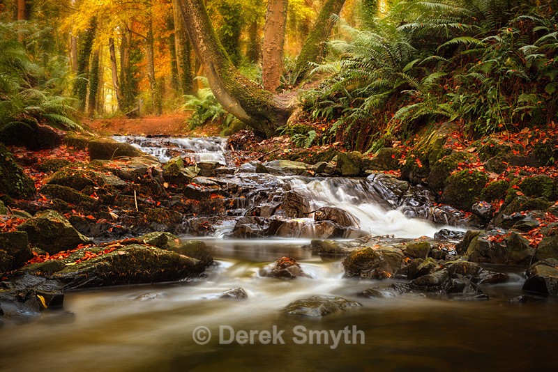 Drumleck River In Autumn - Co. Armagh