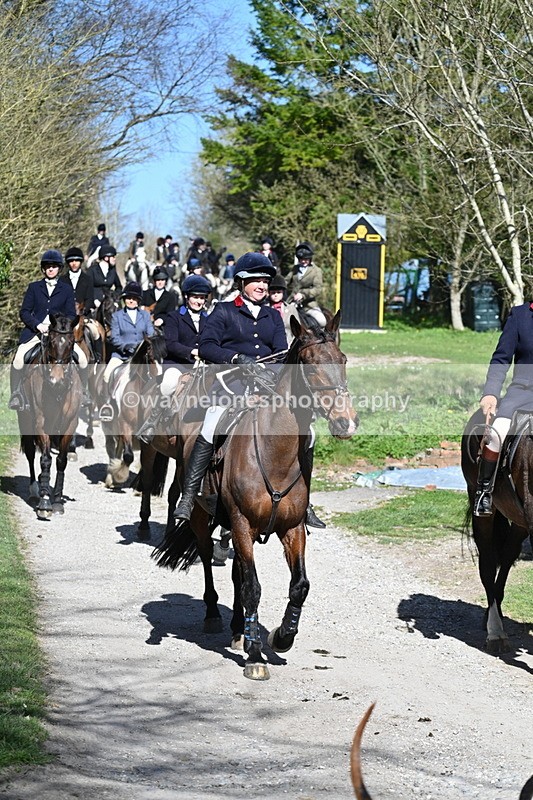 WJ7_9680 - Home for hunt tea !