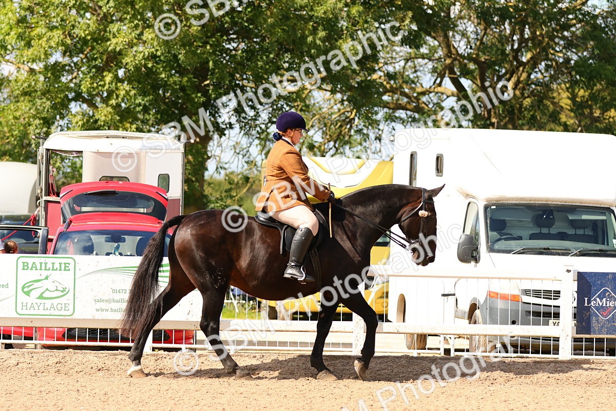 SBM_13432 - Class 212 - Ridden Hunter  - Large