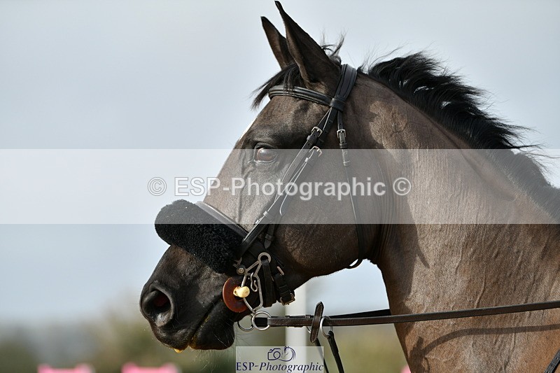 240124A-110252-00181 - Cls 2 Discovery & 1m Open