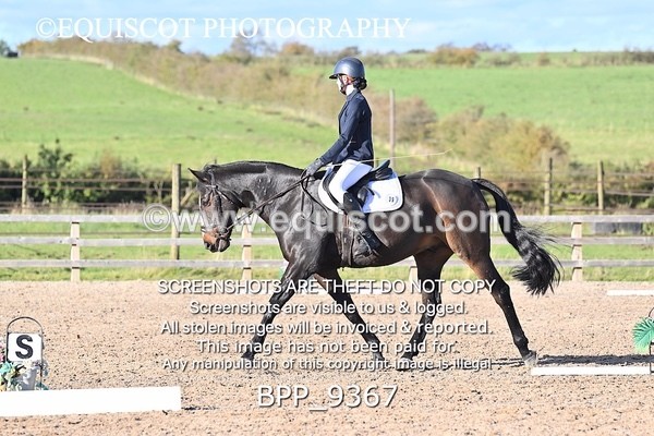 BPP_9367 - SHORT ARENA