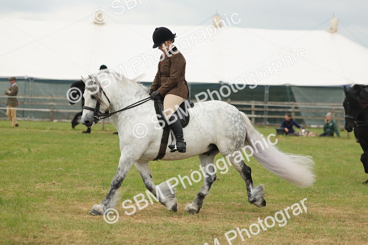 SBM_08972 - Class 78-80 - Ridden M&M Non Welsh Ponies