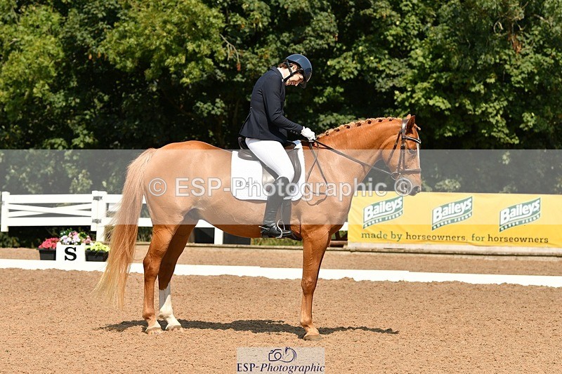 250817-124102-09685 - 155-Tamsin.OConnorRiversides.Caballero