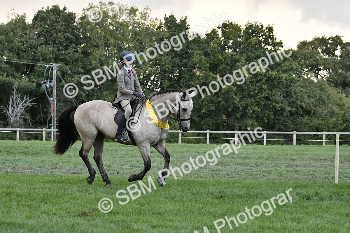 SBM_53313 - S14 - Riding Club Horse