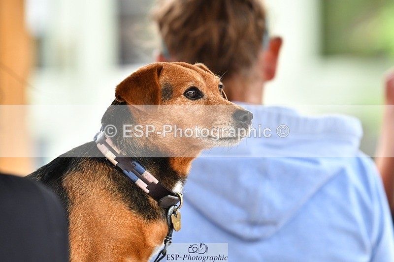 230817-153921-03106 - Presentations