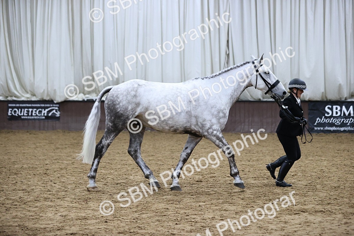 SBM_6312 - Class 17 - IDHSG Challenge Pure Breed