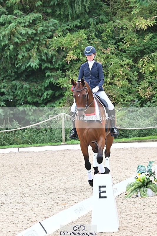 240811-132053-05891 - Adv Medium Silver