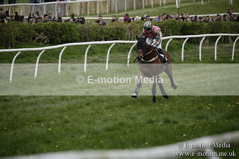 PtP 170417 552 - Old Berks Point-to-Point Lockinge 17/04/17