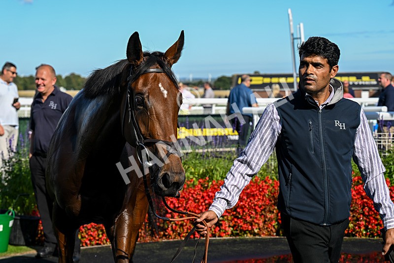 220926-Race 3-Call Me Tomorrow-3748 - Race 3 2.40pm Christmas Parties R Us Restricted Novice Stakes