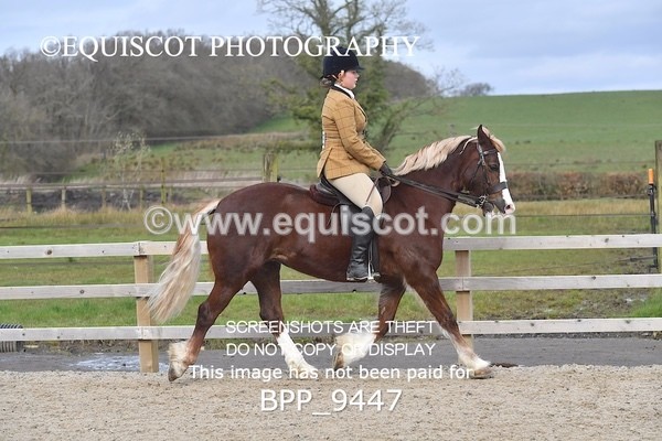 BPP_9447 - RING 2 - M&M