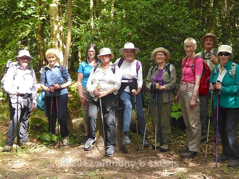 050 After lunch a group pose  as we clambered up steps and woodland - York Minster Walkers Collection 2025
