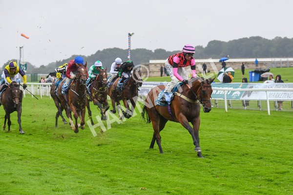 140723-Race 4-Andaleep-0398 - Race 4 3.50pm Azets Handicap