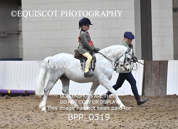 BPP_0319 - RING 1