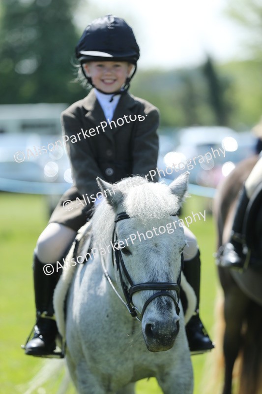 20250427-2718 - Class 6 - Pony Judge Would Most Like To Take Home