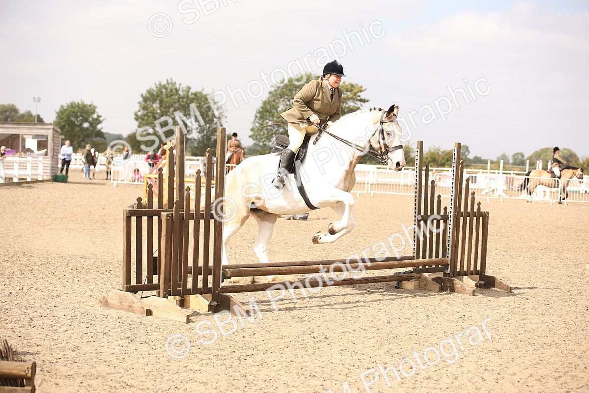 SBM_12921 - Class 406a - Working Veteran 50cm (15-19)