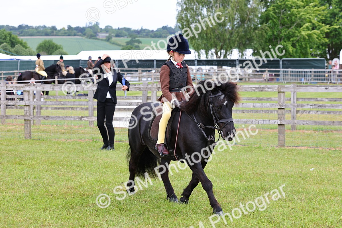 SBM_08566 - Class 42-43 - LIHS BSPS Heritage Working Sports Pony