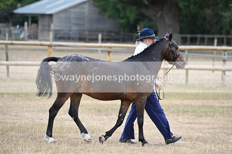 WJ6_7791 - Class 10 Coloured in Hand