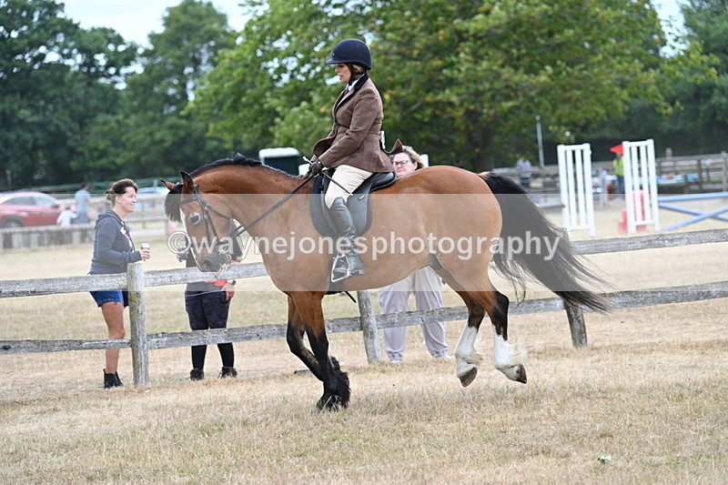 WJ7_0588 - Class 6 Ridden Mountain and Moorland