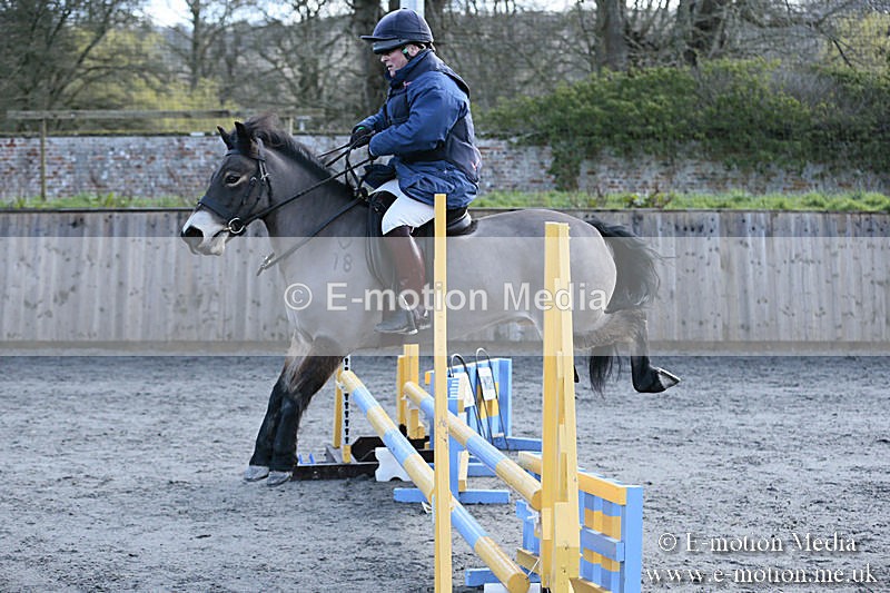 BVRC SJ 170319 8 - Bourne Valley Riding Club Showjumping 17/03/19