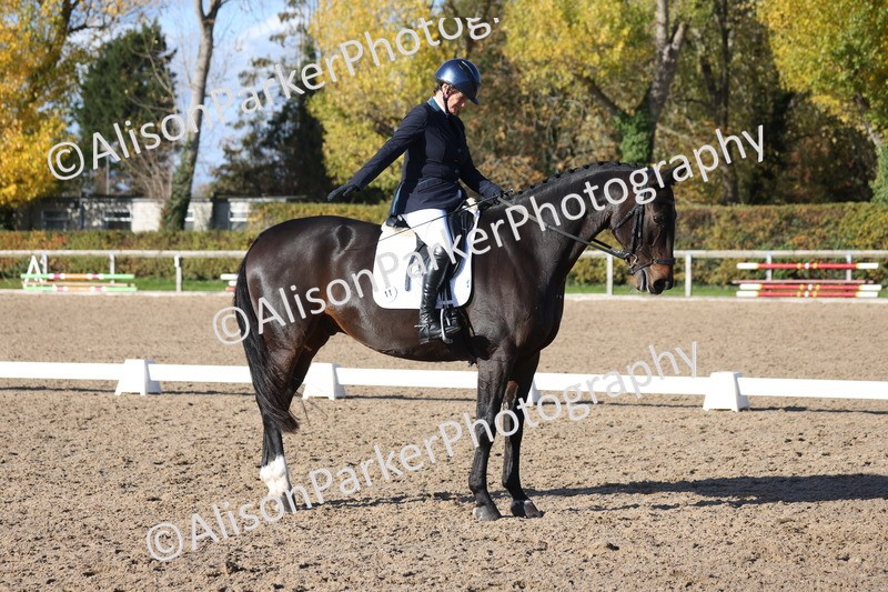 20251102-0998 - Class 5 - Elementary 5