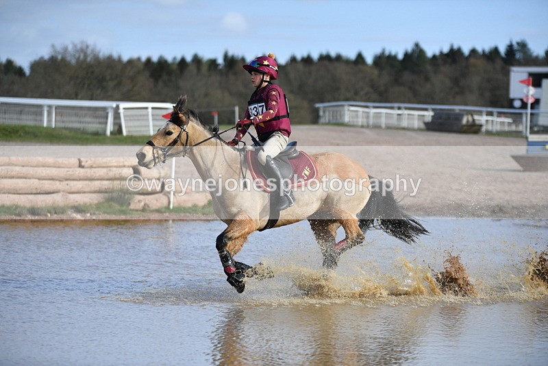 WJ5_9255 - Time 15:32 to 16:01