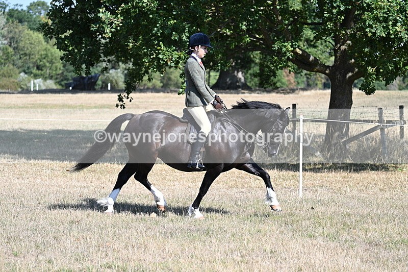 WJ7_3713 - Class 9 Mountain & Moorland Ridden