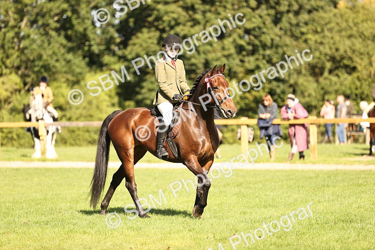 SBM_17019 - S2 - TSR Ridden Pony Showing
