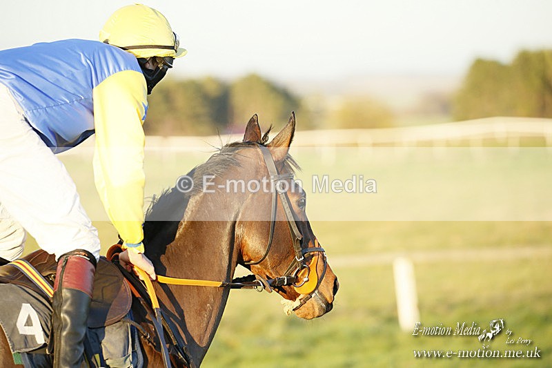 PtP 121220 717 - Avon Vale Races Larkhill 12/12/20