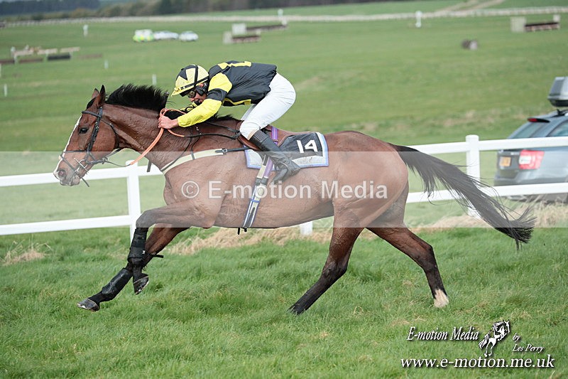 PtP 230324 899 - Tedworth Hunt PtP Larkhill Raccourse 23rd March 2024