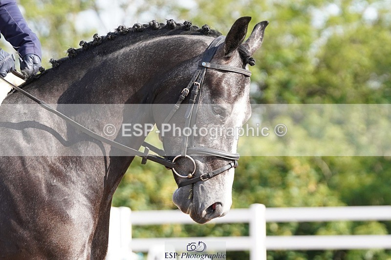 250622-083022-12977 - Cls 46 FreeStyle Prelim Inc Presentations