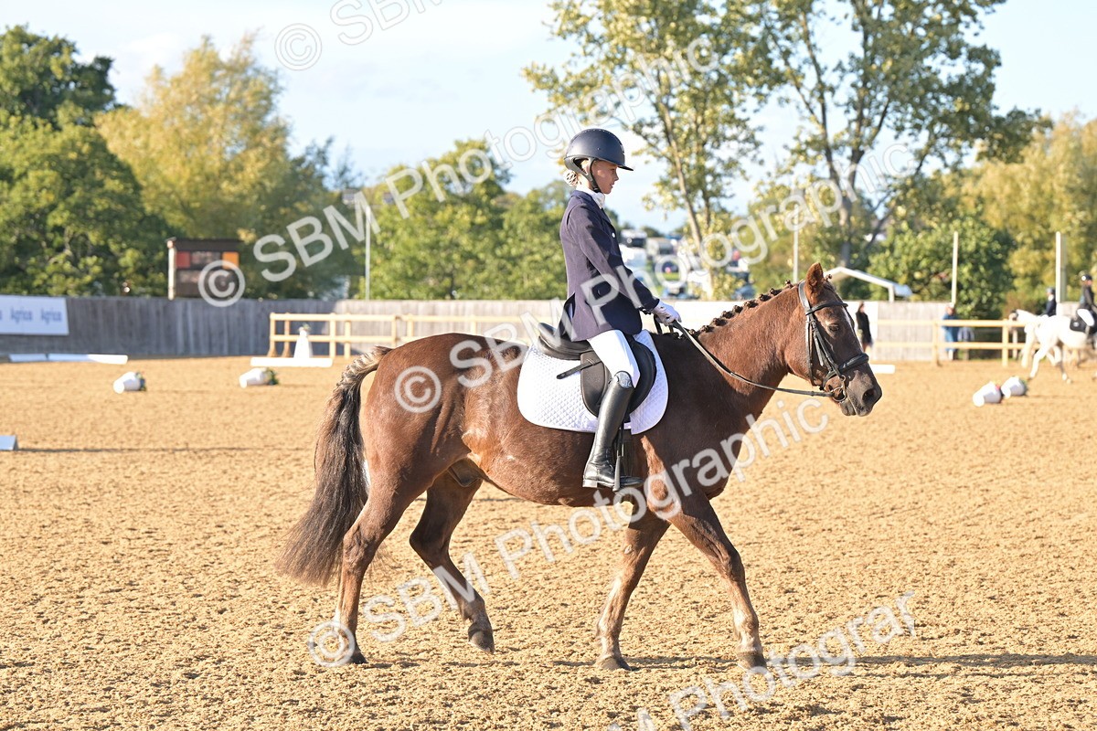 SBM_13087 - D3 - Small Tour Championship Intro 3