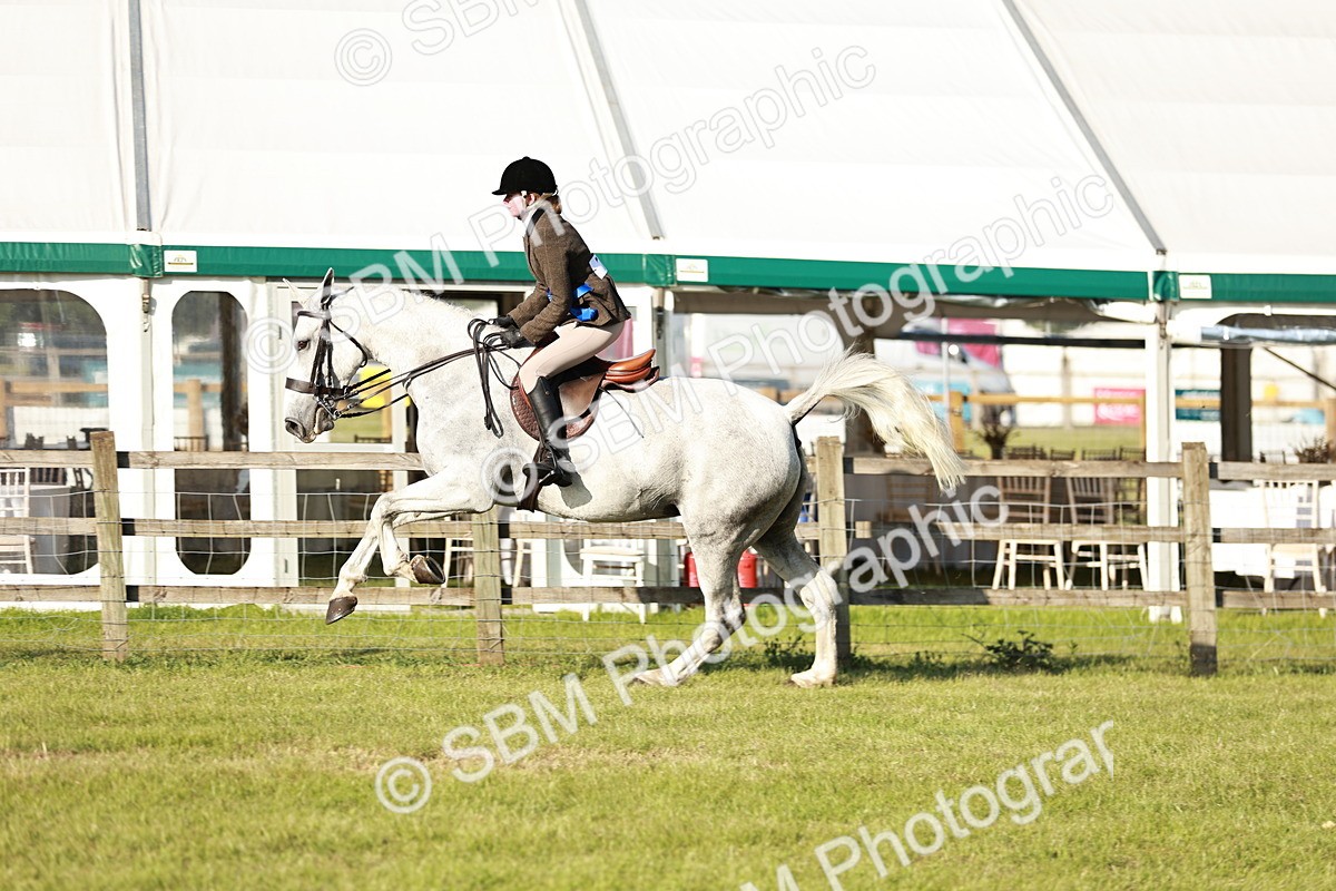 SBM_20117 - Class 115-116 - LIHS BSHA Rising Star Working Hunter & Show Horse