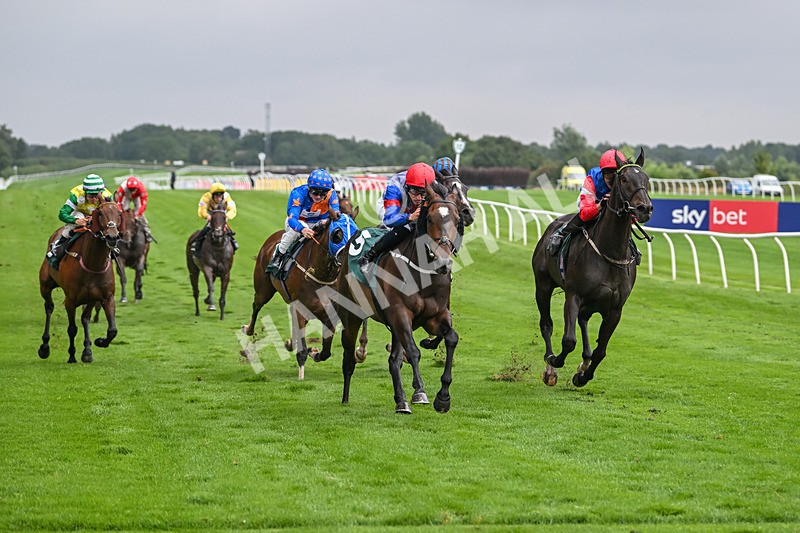 230725-Race 6-Quercus-0616 - Race 6