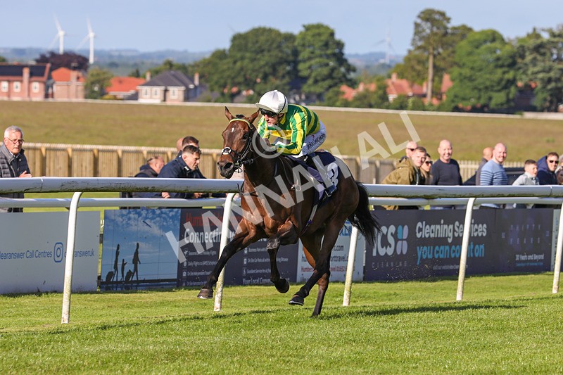 180624-Race 1-Paps Turf-7532