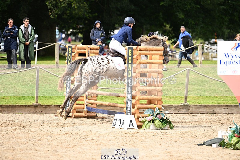 240824X-124240-25588 - 70cm Jump Off