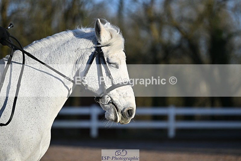 250125-091352-00023 - Dressage - CT Class 1 & 2 Intro 1