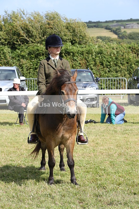 1X9A5633 - Class 39: NPS Dartmoor, Exmoor, Shetland