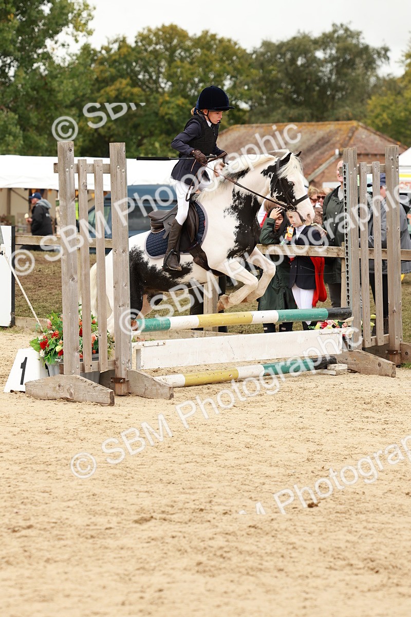 SBM_62124 - J12 - Junior Pony 55cm Championship