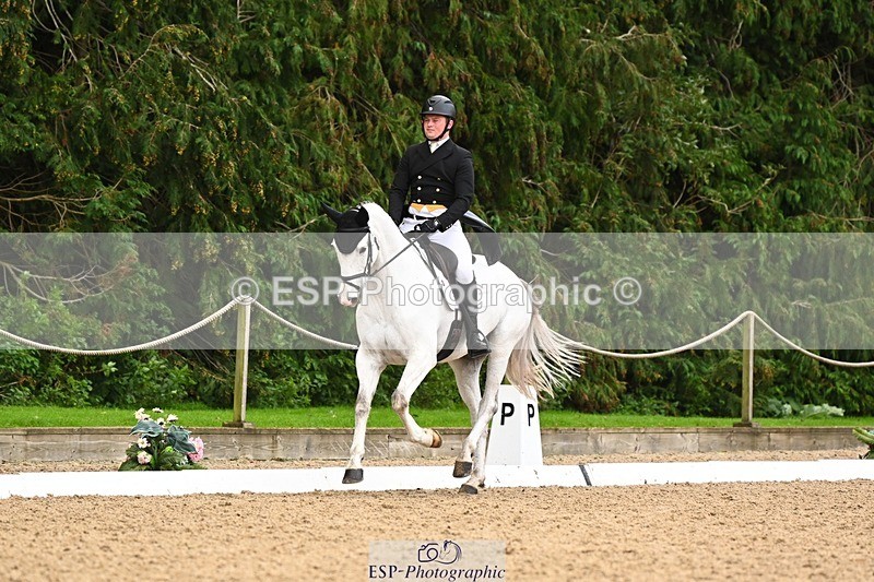 231020-143133-10274 - 207-CARRICK.DIAMOND.BARD-Alex.Holman-DR