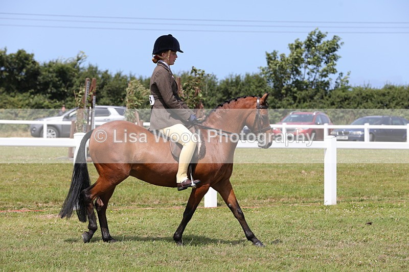 1X9A4264 - Class 34: Veteran Ridden